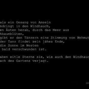 Coronatagebuch - Gartenbeobachtungen I