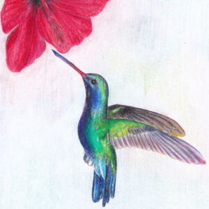 Freiheit - Lass dir nicht die Flügel stutzen